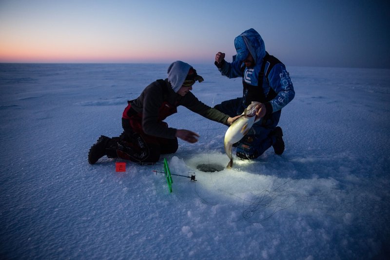 Experience the Thrill of Ice Fishing Live in the UK Casinos